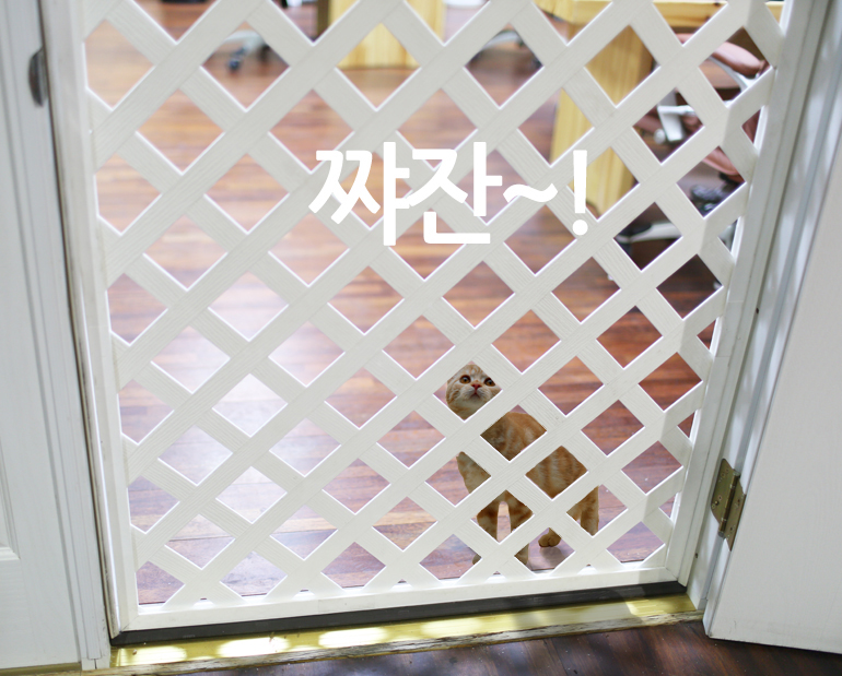 플라스틱 래티스 방묘문 만들기