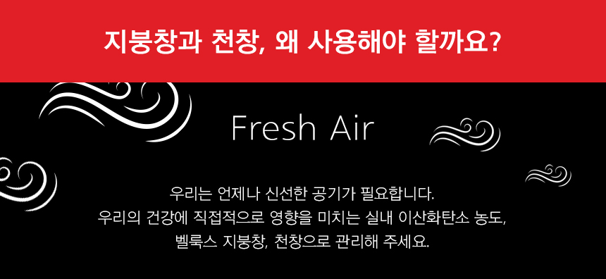 벨룩스 GPL 상세 이미지 7