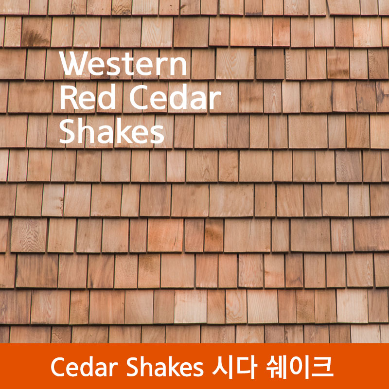 웨스턴 레드시다 쉐이크